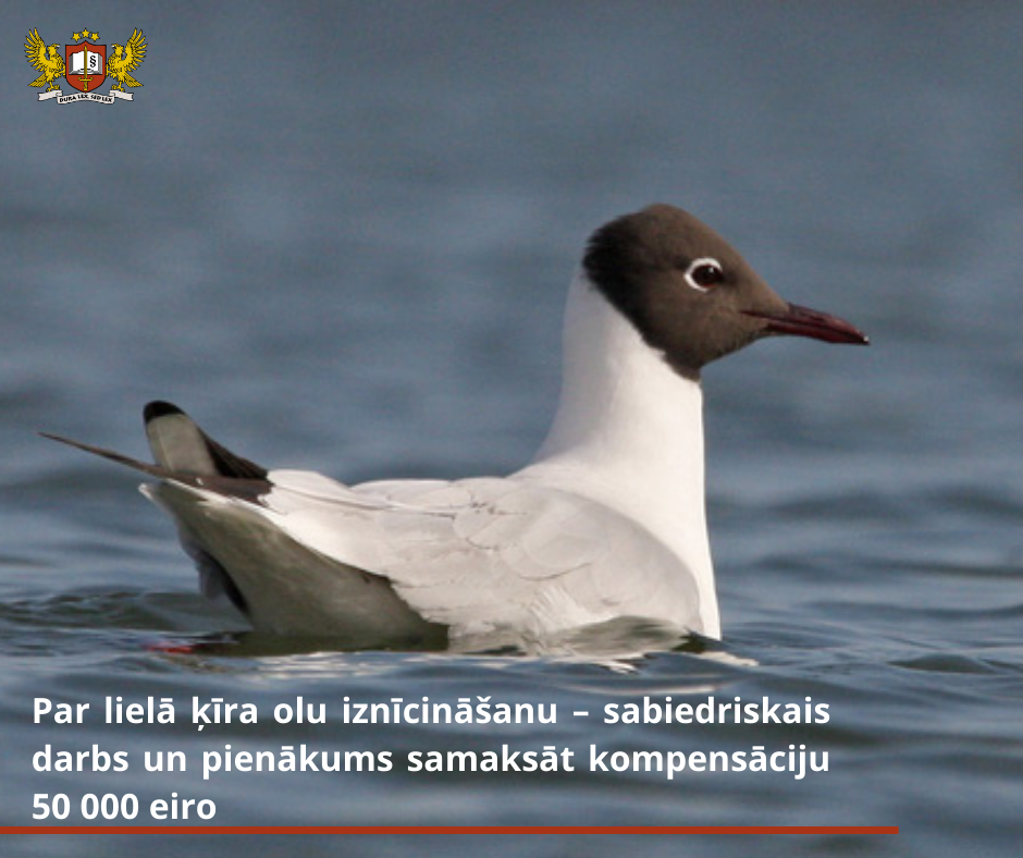 Par īpaši aizsargājamo putnu olu iznīcināšanu – sabiedriskais darbs un pienākums samaksāt kompensāciju 50 000 eiro
