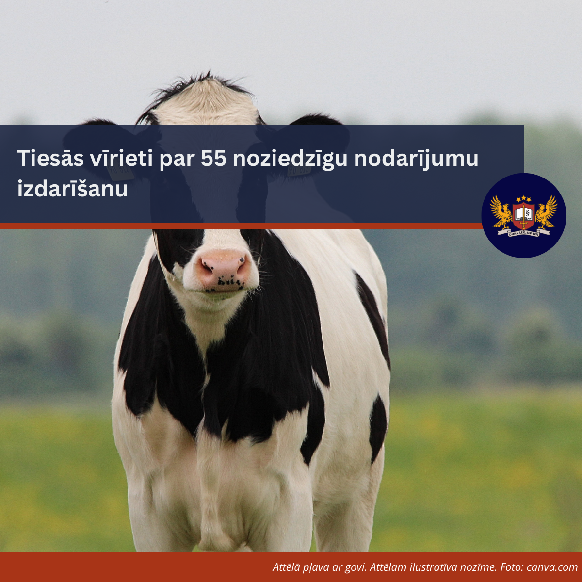 Tiesās vīrieti par 55 noziedzīgu nodarījumu izdarīšanu