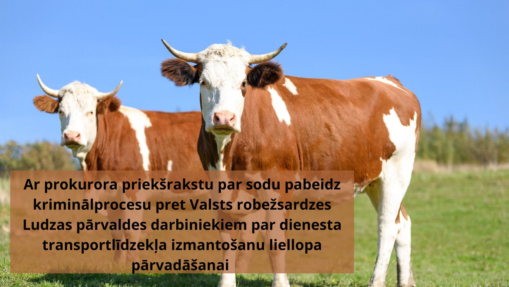Ar prokurora priekšrakstu par sodu pabeidz kriminālprocesu pret Valsts robežsardzes Ludzas pārvaldes darbiniekiem par dienesta transportlīdzekļa izmantošanu liellopa pārvadāšanai 