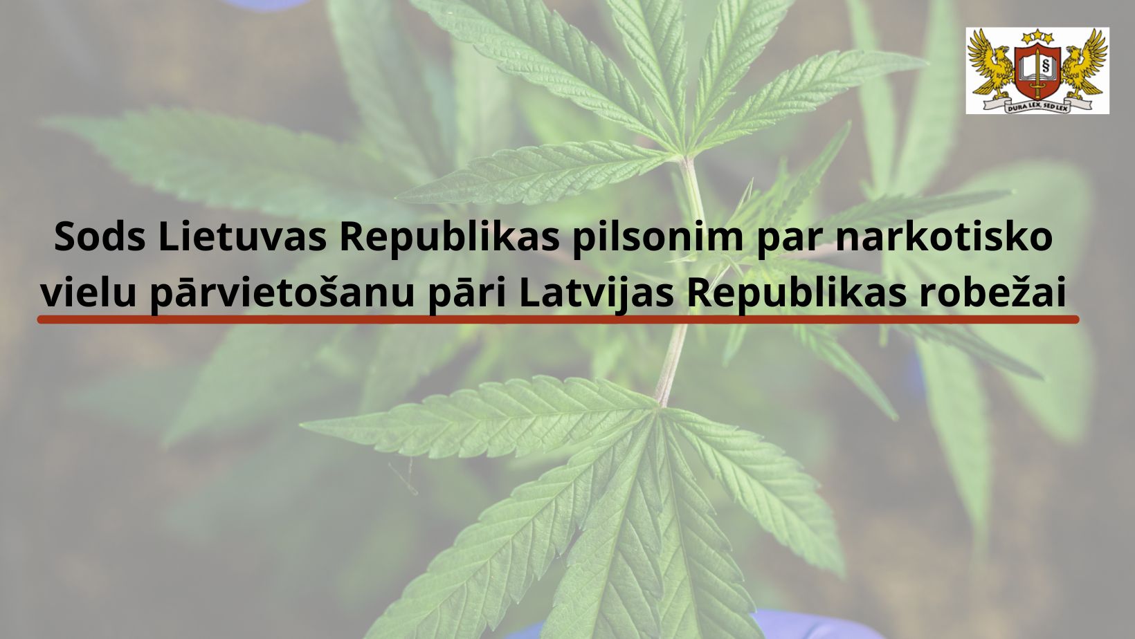Prokurore  ar priekšrakstu par sodu piemēro naudas sodu Lietuvas Republikas pilsonim par narkotisko vielu pārvietošanu pāri Latvijas Republikas robežai
