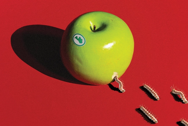 Attēls: Kā Krievija neatlaidīgi turpina vervēt spiegus Latvijā? Prokurors Mārtiņš Jansons intervijā žurnālam “IR”